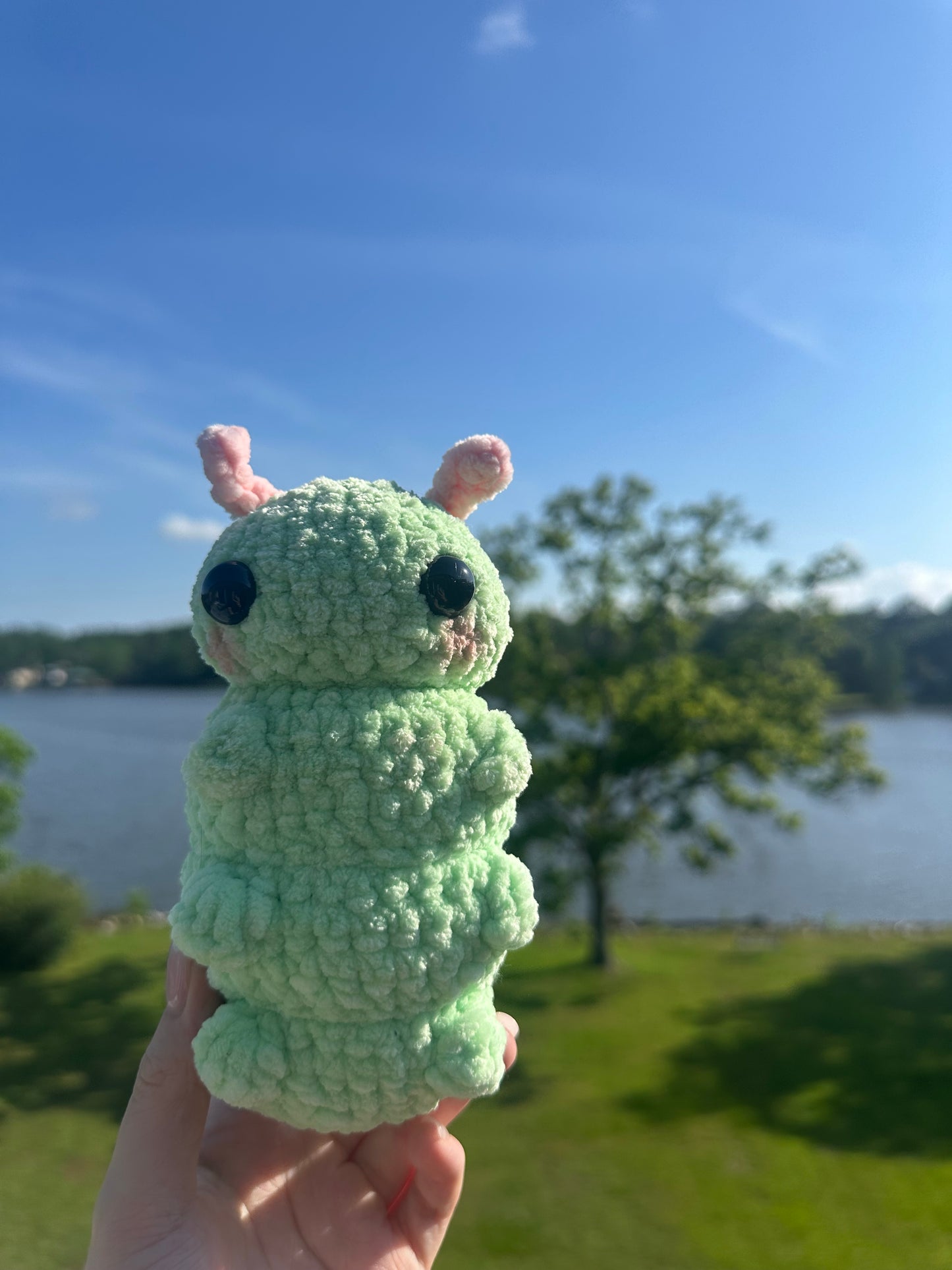 Crochet Caterpillar Plushie